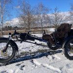 FatWiesel - Mammut im Schnee