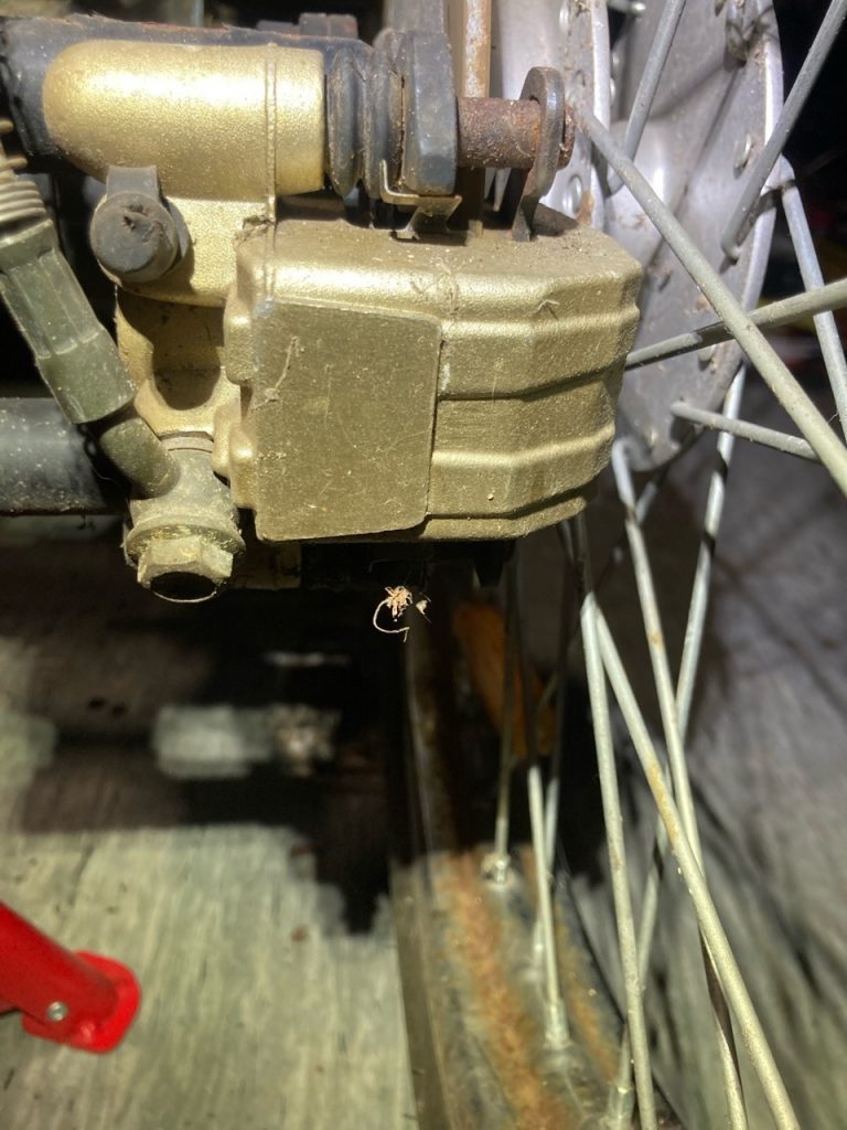 bremsen hinten re 0000