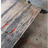 (c) Philipp Koitsch
HNF Cd1