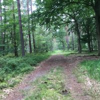 moenkebude tour 2024 0020 moenkebude tour 2024 0020